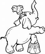 Elephant Circus Coloring Pages Colouring Kids Netart Choose Board Animal sketch template