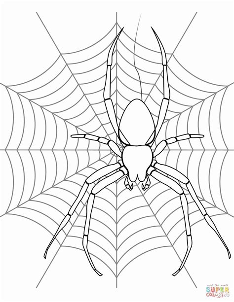 printable halloween spider web coloring pages thekidsworksheet