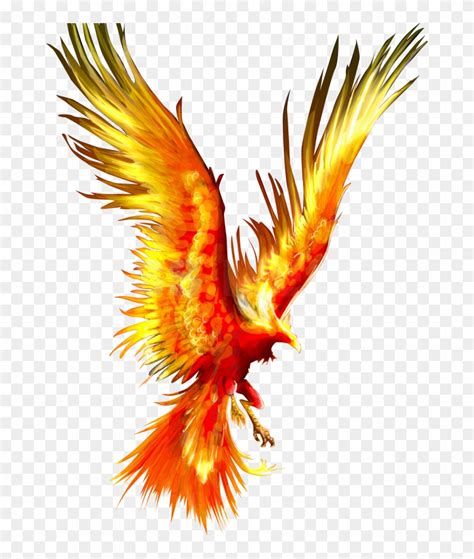 phoenix clipart firebird phoenix bird transparent background