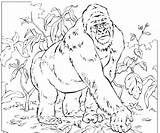 Gorila Gorilla Selva Gorille Kids Gorillas Africana Gorilas Colouring Craft Printable Coloriages Tudodesenhos Animales Floresta Colorier Grade Arouisse sketch template