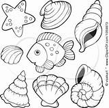 Shell Coloring Pages Conch Sea Kids Colouring Getcolorings Printable Seashells Color Book Fish Things Animal Creatures Animals Summer Drawings Visit sketch template