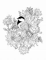 Coloring Chickadee Adult Flowers sketch template