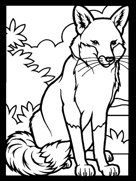 fox coloring page animals town animal color sheets fox picture