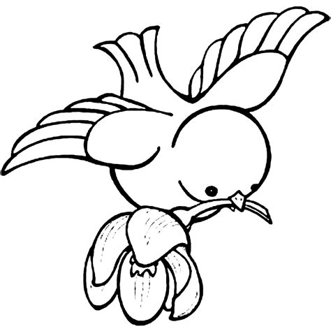 cute flying bird coloring page coloringrocks kus cizimleri