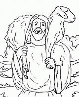 Coloring Sheep Lost Jesus Pages Drawing Parable Lamb Clipart Clip Shepherd Good Donating Christian Luke Comments Popular Coloringhome sketch template