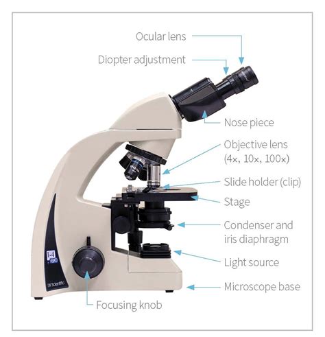 proper  care  microscopes clinicians