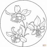 Circle Coloring Flower Pages Flowers Printable Supercoloring Colorier Drawing Jonquilles Colouring Pattern Patterns Fleur Columbine Coloriage Books Mandala Per Drawings sketch template