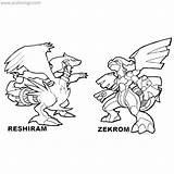 Mega Pokemon Coloring Zekrom Reshiram Pages Xcolorings 80k Resolution Info Type  Size Jpeg sketch template