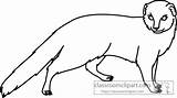 Mongoose Outline Animals Classroomclipart sketch template
