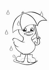 Umbrella Coloring Pages Printable sketch template