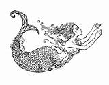 Erwachsene Meerjungfrauen Malbuch Mermaids sketch template