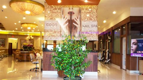 coco nail spa beauty business exploring finder