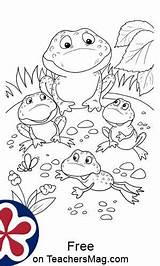 Frogs Speckled Frog Cycle Teachersmag Counting Preschoolers sketch template