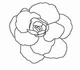 Line Flower Drawing Flowers Simple Outline Clip Coloring Clipart Drawings Basic Cliparts Library Getdrawings Comments Lineart sketch template