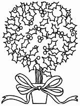 Crayola Colorat Arbusto Desene Mistletoe Craciun Arbres Planse Decorado Natalizio Alberi Floare Bosco Natalizi Colorir Tudodesenhos sketch template