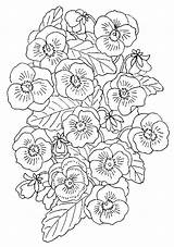 Coloring Pages Flowers Flower Blumen Malvorlagen Coloringpages1001 Viooltjes Animated Ausmalbilder Colouring Choose Board Gif sketch template