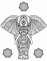 Colorir Antiestresse Elefante Relaxar Shutterstock sketch template