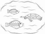Aboriginal Coloring Turtle Pages Fishes Naidoc Indigenous Printable Week Animals Categories sketch template