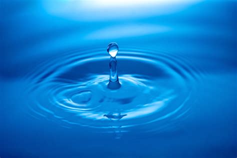 images droplet liquid water drop wave petal wet reflection shine color calm