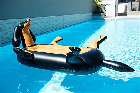 inflatable cat float floating  top   pool