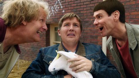 dumb and dumber to movie info and showtimes in trinidad and tobago