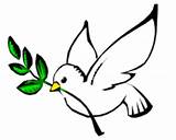 Olive Branch Dove Clip Clipart Silhouette Transparent Peace Library Doves sketch template