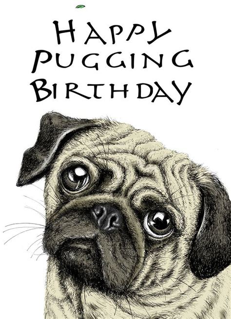 greeting card designs  behance happy birthday pug happy birthday