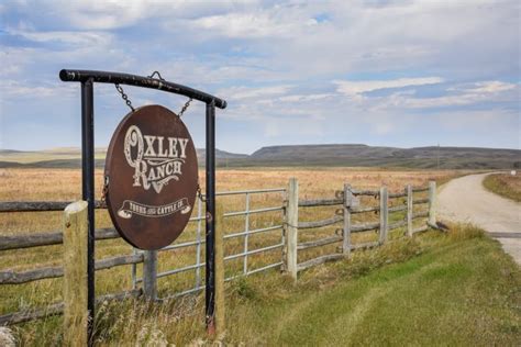 historic oxley ranch  southern alberta   protected cbc news