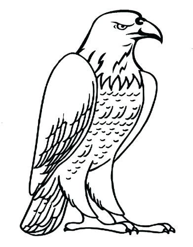 cartoon eagle coloring pages  getdrawings