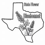 Texas Coloring Bluebonnet Pages Bluebonnets Longhorn Color Sheets Flag Print Book Bob Drawings State Drawing Printable Blue Sheet Bonnets Symbols sketch template