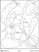 Vegetable Handout Vegetables sketch template