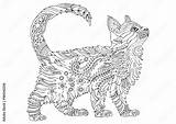 Kolorowanki Druku Koty Antystresowe Mandale Wydruku sketch template