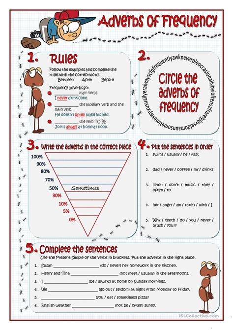 adverbs  frequency worksheet  esl printable