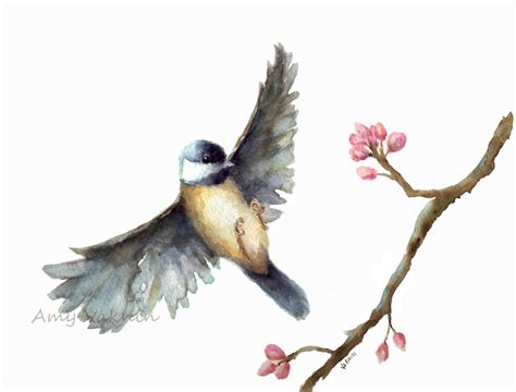 Watercolor Bird Paintings