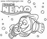 Nemo Pintar Dory Ausmalbilder Pintarcolorear Findet Marlin Sheets Frisch sketch template