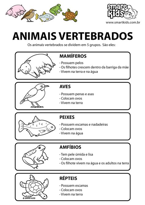 colorir desenho animais vertebrados desenhos para