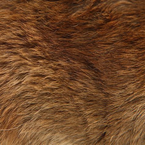 bear fur brown bear fur texture fur texture fur aesthetic