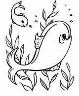 Coloring Pages Ocean Fish Kids Printable sketch template