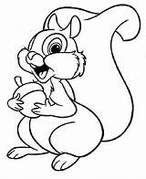 Squirrel Coloring Pages Baby Cute Cartoon Template sketch template
