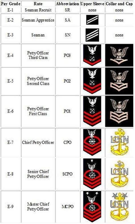 marine ranks marine corps ranks marine boot camp earning the title