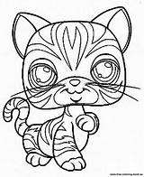 Coloring Lps Pet Pages Shop Littlest Printable Cat Print Little Collie Coloriage Chat Do Kids Clipart Sheets Book Popular Lizard sketch template