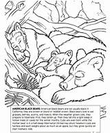 Coloring Bear Pages American Choose Board Books sketch template