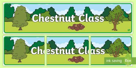 👉 Chestnut Class Display Banner