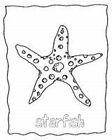 Star Coloring Pages Fish sketch template