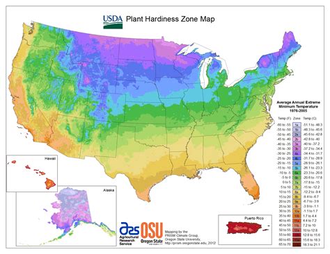 Plant Hardiness Zones The How Do Gardener