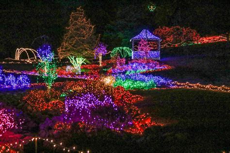 garden  lights  colorful spectacular news muskogeephoenixcom