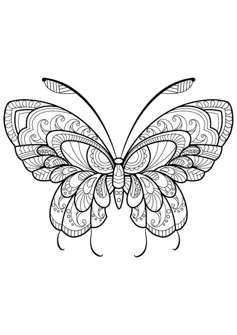 papillon coloring pages png  file
