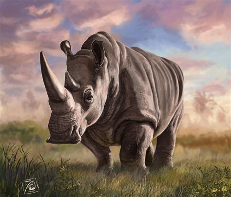 rhinoceros digital art animal study  officermeowmeow  deviantart