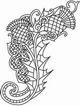 Thistle Designlooter Celtic sketch template