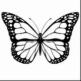 Morpho Coloring sketch template